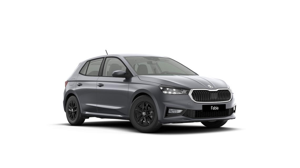 Skoda Fabia Front Links Ansicht